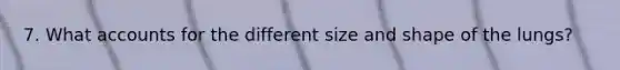 7. What accounts for the different size and shape of the lungs?