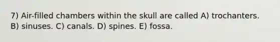 7) Air-filled chambers within the skull are called A) trochanters. B) sinuses. C) canals. D) spines. E) fossa.