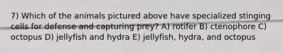 7) Which of the animals pictured above have specialized stinging cells for defense and capturing prey? A) rotifer B) ctenophore C) octopus D) jellyfish and hydra E) jellyfish, hydra, and octopus