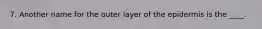 7. Another name for the outer layer of the epidermis is the ____.