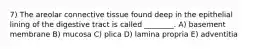 7) The areolar connective tissue found deep in the epithelial lining of the digestive tract is called ________. A) basement membrane B) mucosa C) plica D) lamina propria E) adventitia