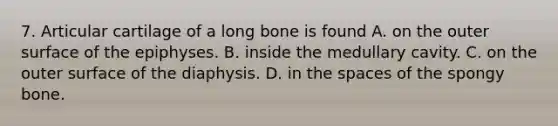 7. Articular cartilage of a long bone is found A. on the outer surface of the epiphyses. B. inside the medullary cavity. C. on the outer surface of the diaphysis. D. in the spaces of the spongy bone.