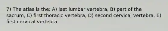 7) The atlas is the: A) last lumbar vertebra, B) part of the sacrum, C) first thoracic vertebra, D) second cervical vertebra, E) first cervical vertebra