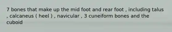 7 bones that make up the mid foot and rear foot , including talus , calcaneus ( heel ) , navicular , 3 cuneiform bones and the cuboid