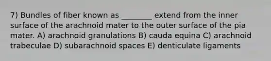 7) Bundles of fiber known as ________ extend from the inner surface of the arachnoid mater to the outer surface of the pia mater. A) arachnoid granulations B) cauda equina C) arachnoid trabeculae D) subarachnoid spaces E) denticulate ligaments