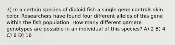 7) In a certain species of diploid fish a single <a href='https://www.questionai.com/knowledge/kwVcWmCQNM-gene-control' class='anchor-knowledge'>gene control</a>s skin color. Researchers have found four different alleles of this gene within the fish population. How many different gamete genotypes are possible in an individual of this species? A) 2 B) 4 C) 8 D) 16