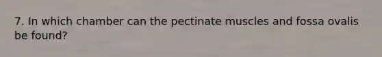 7. In which chamber can the pectinate muscles and fossa ovalis be found?