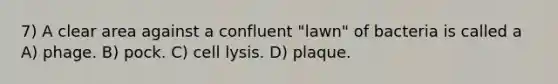 7) A clear area against a confluent "lawn" of bacteria is called a A) phage. B) pock. C) cell lysis. D) plaque.