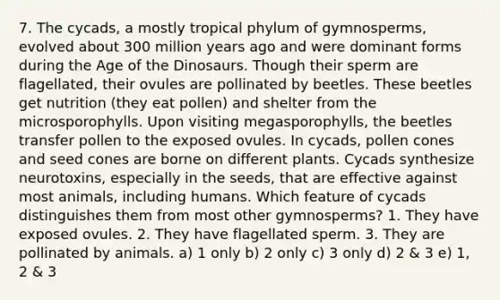 7. The cycads, a mostly tropical phylum of gymnosperms, evolved about 300 million years ago and were dominant forms during the Age of the Dinosaurs. Though their sperm are flagellated, their ovules are pollinated by beetles. These beetles get nutrition (they eat pollen) and shelter from the microsporophylls. Upon visiting megasporophylls, the beetles transfer pollen to the exposed ovules. In cycads, pollen cones and seed cones are borne on different plants. Cycads synthesize neurotoxins, especially in the seeds, that are effective against most animals, including humans. Which feature of cycads distinguishes them from most other gymnosperms? 1. They have exposed ovules. 2. They have flagellated sperm. 3. They are pollinated by animals. a) 1 only b) 2 only c) 3 only d) 2 & 3 e) 1, 2 & 3