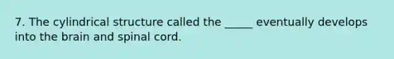 7. The cylindrical structure called the _____ eventually develops into the brain and spinal cord.