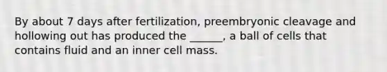 By about 7 days after fertilization, preembryonic cleavage and hollowing out has produced the ______, a ball of cells that contains fluid and an inner cell mass.