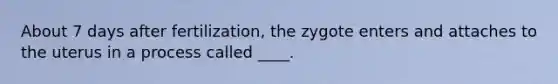 About 7 days after fertilization, the zygote enters and attaches to the uterus in a process called ____.