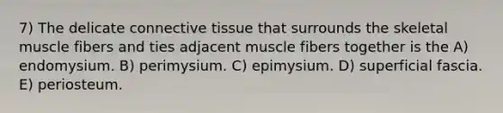 7) The delicate connective tissue that surrounds the skeletal muscle fibers and ties adjacent muscle fibers together is the A) endomysium. B) perimysium. C) epimysium. D) superficial fascia. E) periosteum.