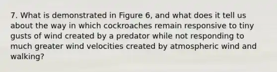 7. What is demonstrated in Figure 6, and what does it tell us about the way in which cockroaches remain responsive to tiny gusts of wind created by a predator while not responding to much greater wind velocities created by atmospheric wind and walking?