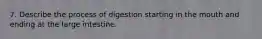 7. Describe the process of digestion starting in the mouth and ending at the large intestine.
