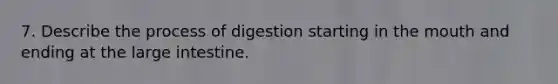 7. Describe the process of digestion starting in the mouth and ending at the large intestine.