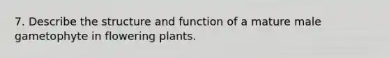 7. Describe the structure and function of a mature male gametophyte in flowering plants.