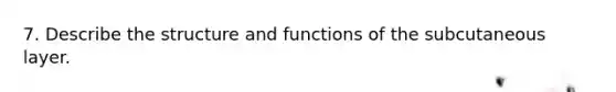 7. Describe the structure and functions of the subcutaneous layer.