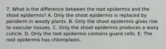 7. What is the difference between the root epidermis and the shoot epidermis? A. Only the shoot epidermis is replaced by periderm in woody plants. B. Only the shoot epidermis gives rise to <a href='https://www.questionai.com/knowledge/k1HVFq17mo-vascular-tissue' class='anchor-knowledge'>vascular tissue</a>s. C. Only the shoot epidermis produces a waxy cuticle. D. Only the root epidermis contains guard cells. E. The root epidermis has chloroplasts.