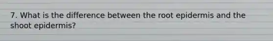 7. What is the difference between the root epidermis and the shoot epidermis?
