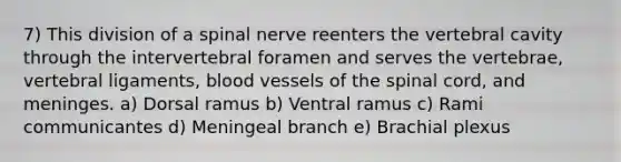 7) This division of a spinal nerve reenters the vertebral cavity through the intervertebral foramen and serves the vertebrae, vertebral ligaments, blood vessels of the spinal cord, and meninges. a) Dorsal ramus b) Ventral ramus c) Rami communicantes d) Meningeal branch e) Brachial plexus