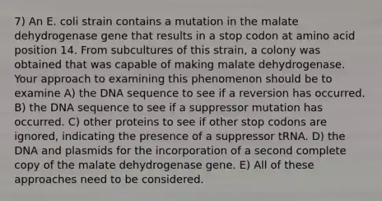 7) An E. coli strain contains a mutation in the malate dehydrogenase gene that results in a stop codon at amino acid position 14. From subcultures of this strain, a colony was obtained that was capable of making malate dehydrogenase. Your approach to examining this phenomenon should be to examine A) the DNA sequence to see if a reversion has occurred. B) the DNA sequence to see if a suppressor mutation has occurred. C) other proteins to see if other stop codons are ignored, indicating the presence of a suppressor tRNA. D) the DNA and plasmids for the incorporation of a second complete copy of the malate dehydrogenase gene. E) All of these approaches need to be considered.