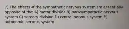 7) The effects of the sympathetic nervous system are essentially opposite of the: A) motor division B) parasympathetic nervous system C) sensory division D) central nervous system E) autonomic nervous system