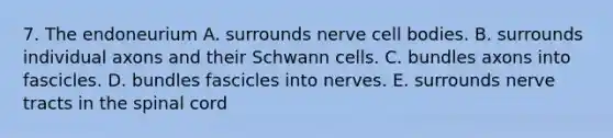 7. The endoneurium A. surrounds nerve cell bodies. B. surrounds individual axons and their Schwann cells. C. bundles axons into fascicles. D. bundles fascicles into nerves. E. surrounds nerve tracts in the spinal cord