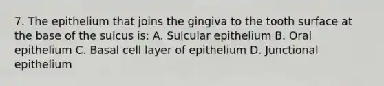 7. The epithelium that joins the gingiva to the tooth surface at the base of the sulcus is: A. Sulcular epithelium B. Oral epithelium C. Basal cell layer of epithelium D. Junctional epithelium