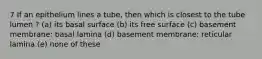 7 If an epithelium lines a tube, then which is closest to the tube lumen ? (a) its basal surface (b) its free surface (c) basement membrane: basal lamina (d) basement membrane: reticular lamina (e) none of these