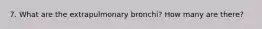 7. What are the extrapulmonary bronchi? How many are there?