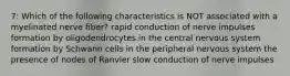 7: Which of the following characteristics is NOT associated with a myelinated nerve fiber? rapid conduction of nerve impulses formation by oligodendrocytes in the central nervous system formation by Schwann cells in the peripheral nervous system the presence of nodes of Ranvier slow conduction of nerve impulses