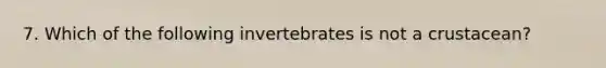7. Which of the following invertebrates is not a crustacean?