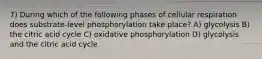 7) During which of the following phases of cellular respiration does substrate-level phosphorylation take place? A) glycolysis B) the citric acid cycle C) oxidative phosphorylation D) glycolysis and the citric acid cycle