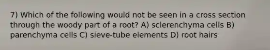 7) Which of the following would not be seen in a cross section through the woody part of a root? A) sclerenchyma cells B) parenchyma cells C) sieve-tube elements D) root hairs