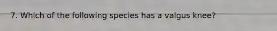 7. Which of the following species has a valgus knee?