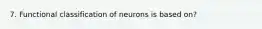 7. Functional classification of neurons is based on?