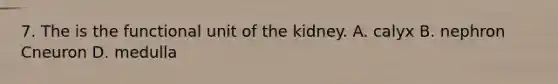 7. The is the functional unit of the kidney. A. calyx B. nephron Cneuron D. medulla