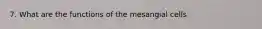 7. What are the functions of the mesangial cells