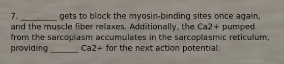 7. _________ gets to block the myosin-binding sites once again, and the muscle fiber relaxes. Additionally, the Ca2+ pumped from the sarcoplasm accumulates in the sarcoplasmic reticulum, providing _______ Ca2+ for the next action potential.