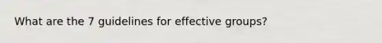 What are the 7 guidelines for effective groups?