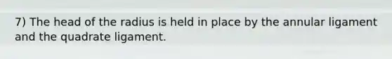 7) The head of the radius is held in place by the annular ligament and the quadrate ligament.