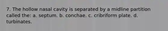 7. The hollow nasal cavity is separated by a midline partition called the: a. septum. b. conchae. c. cribriform plate. d. turbinates.