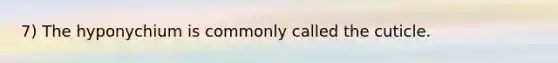 7) The hyponychium is commonly called the cuticle.