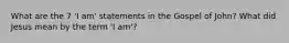 What are the 7 'I am' statements in the Gospel of John? What did Jesus mean by the term 'I am'?