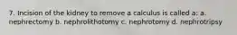 7. Incision of the kidney to remove a calculus is called a: a. nephrectomy b. nephrolithotomy c. nephrotomy d. nephrotripsy