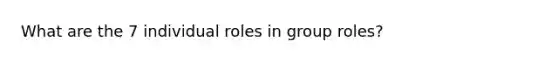 What are the 7 individual roles in group roles?