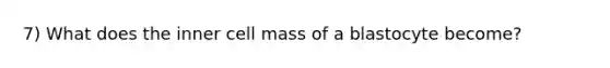 7) What does the inner cell mass of a blastocyte become?