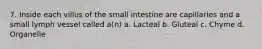 7. Inside each villus of the small intestine are capillaries and a small lymph vessel called a(n) a. Lacteal b. Gluteal c. Chyme d. Organelle