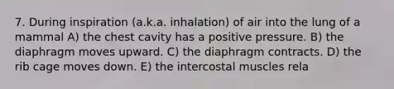 7. During inspiration (a.k.a. inhalation) of air into the lung of a mammal A) the chest cavity has a positive pressure. B) the diaphragm moves upward. C) the diaphragm contracts. D) the rib cage moves down. E) the intercostal muscles rela